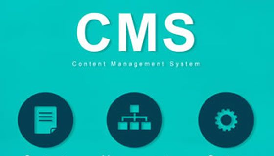 CMS Personalizzati